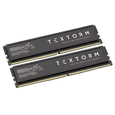 Avis Textorm 32 Go (2x 16 Go) DDR5 5600 MHz CL46