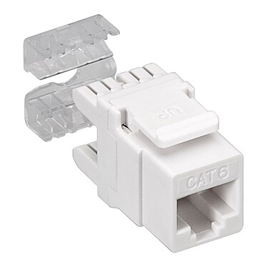 Connectique RJ12 et RJ45
