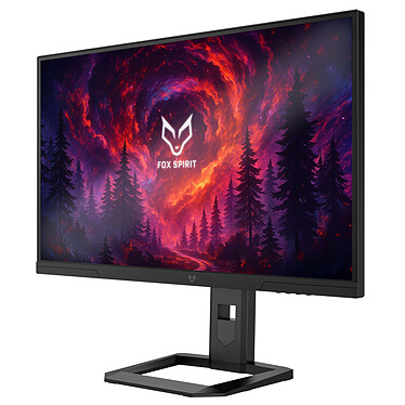 Ecran PC