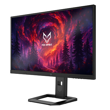 Ecran PC