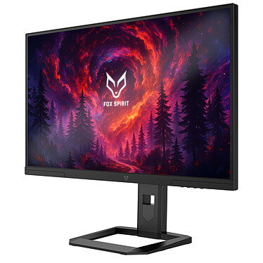Ecran PC