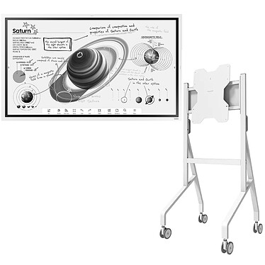Samsung Flip 4 WM55B + Neomounts FL50-515WH1 Blanc
