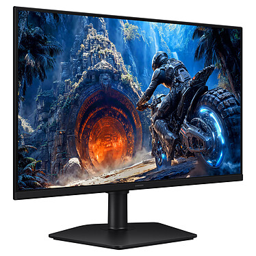 Ecran PC