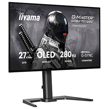 Ecran PC