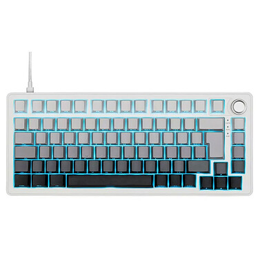 The G-Lab Keyz Elite 300 (Gris/Blanc)