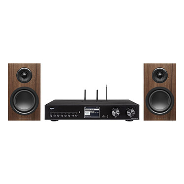 Imperial DABMAN i560 CD + Triangle Elara LN01 Châtaignier