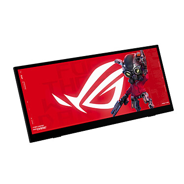 Ecran PC