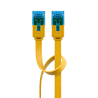 Câbles RJ45