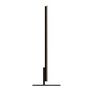 Acheter TCL 55A400 Pro