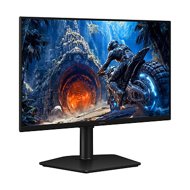 Ecran PC
