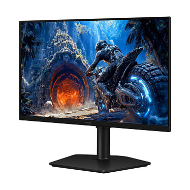 Avis Samsung 25" LED - Odyssey G4 S25HG402EU