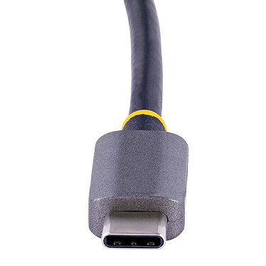 StarTech.com 122-USBC-HDMI-4K-VGA pas cher