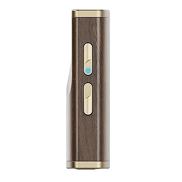 Acheter FiiO Snowsky Melody Noyer