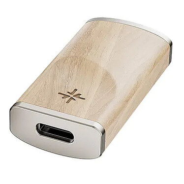 FiiO Snowsky Melody Erable pas cher