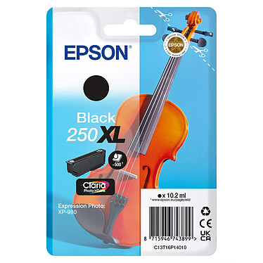 Epson Singlepack Violon 250XL Noir