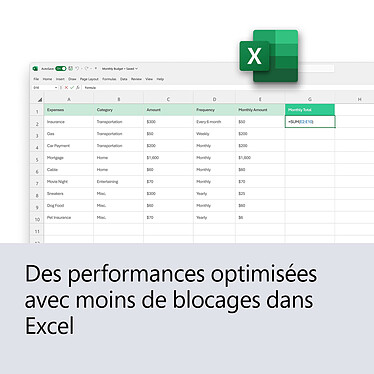 Avis Microsoft Office Famille et Etudiant 2024 (Europe)
