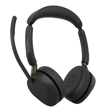 Oreillette bluetooth & micro casque