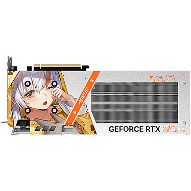 Acheter Gigabyte AORUS GeForce RTX 5060 ARI 8G