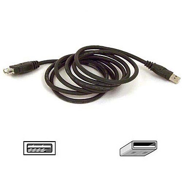 Belkin rallonge USB 2.0 Type AA (Mâle/Femelle) - 1.8 m Belkin rallonge USB 2.0 Type AA (Mâle/Femelle) - 1.8 m