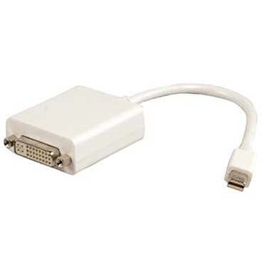Câble Mini DisplayPort mâle / DVI femelle (0.2 mètre)