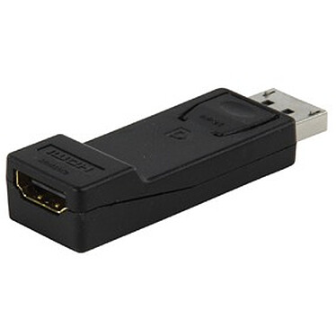 Adaptateur DisplayPort mâle / HDMI femelle Adaptateur DisplayPort
