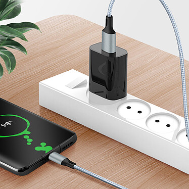 Acheter Avizar Câble 3 en 1 vers USB-C MicroUSB et Lightning Charge Rapide 1,2m Nylon Tressé