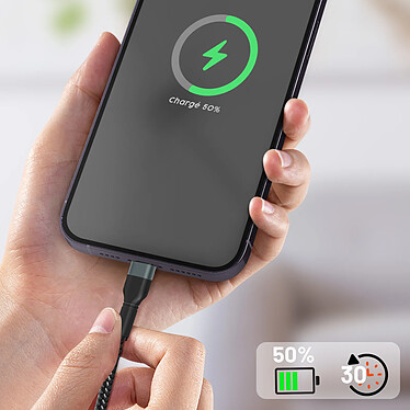 Acheter LinQ Câble USB-C vers Lightning Power Delivery 27W Charge Rapide Longueur 2m  Noir