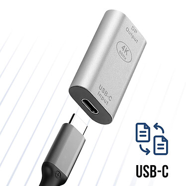 Avis Avizar Adaptateur USB-C femelle vers DisplayPort femelle 4K Design Compact  Argent