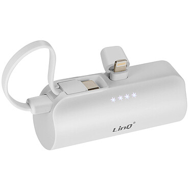 LinQ Batterie de Secours 6000mAh Double Connectivité USB C et Lightning  Blanc