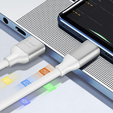 Acheter LinQ Câble USB vers USB C Fast Charge 3A Synchronisation Longueur 1.5m Argent