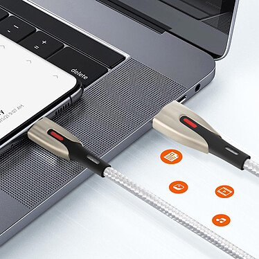 Avis LinQ Câble USB vers USB C Fast Charge 5A Synchronisation Nylon tressé 1.2m Argent