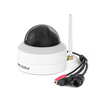 Acheter Foscam - Caméra IP Wi-Fi dôme motorisée - D4Z