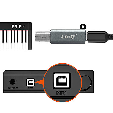Avis LinQ Adaptateur USB-C femelle vers USB-B male Transfert Rapide Plug and Play