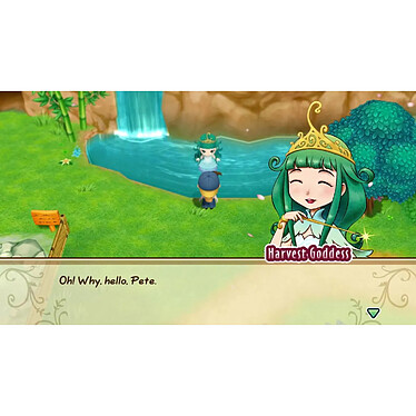 Avis Story of Seasons : Friends of Mineral Town XBOX SERIE X / XBOX ONE