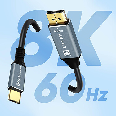 Acheter LinQ Câble Vidéo 8K USB type C vers DisplayPort Mâle Haute Résolution 1,8m  Noir