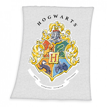 Harry Potter - Couverture polaire Hogwarts 130 x 160 cm