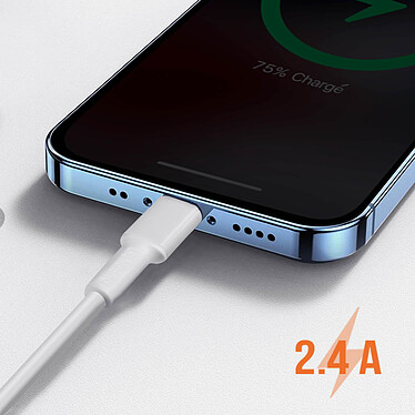 Avis LinQ Câble USB vers Lightning 2.4A Charge et Synchro Rapide 3m Blanc