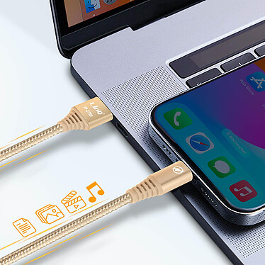 Acheter LinQ Câble USB vers Lightning Nylon Tressé 1.5m Charge et Transfert Dorée