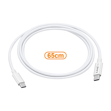 LinQ Câble USB C vers USB C 100W Power Delivery Charge et Synchro, Longueur 65cm pas cher