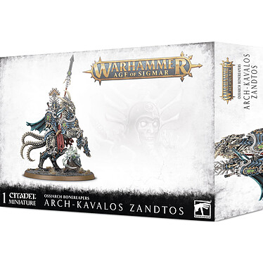 Warhammer AoS - Ossiarch Bonereapers Arch-Kavalos Zandtos Dark Lance Of Ossia