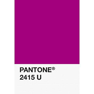Avis Pantone - PLA Magenta 750g - Filament 1.75mm