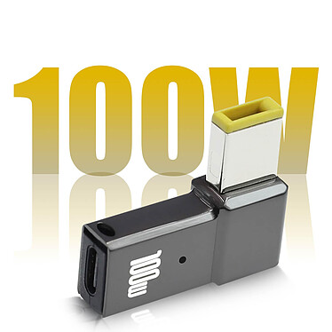 Acheter Avizar Adaptateur de Charge USB-C  100W vers Lenovo Prise carrée