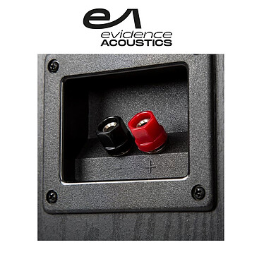 Acheter Evidence Acoustics EA850-BK Noir