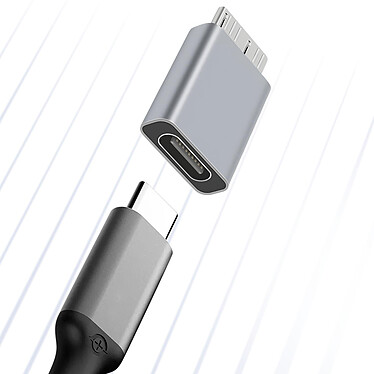 Avis Avizar Adaptateur USB-C femelle vers Micro B mâle Charge Synchronisation Compact  Gris