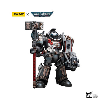 Warhammer 40k - Figurine 1/18 Grey Knights Terminator Caddon Vibova 13 cm