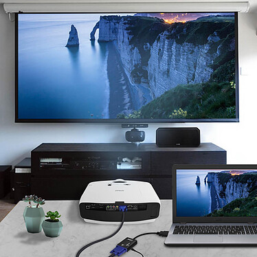 Acheter LinQ Câble Vidéo et Audio HDMI Mâle vers VGA Femelle et Câble Jack 3.5 mm  Noir