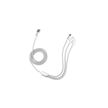 Blaupunkt - Câble de charge 3-en-1 pour smartphone et tablette - BLP0220-143 - Argent