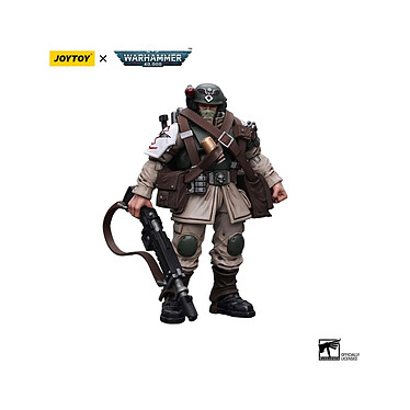Avis Warhammer 40k - Figurine 1/18 Astra Militarum Cadian Command Squad Veteran with Medi-pack 12 cm