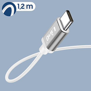 Acheter Écouteurs Filaires USB-C Son de Qualité Bouton Multifonction LinQ Argent