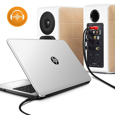 LinQ Câble Audio Jack 3.5mm Mâle Vers 2x RCA Mâles 5m Son de Qualité  Noir pas cher